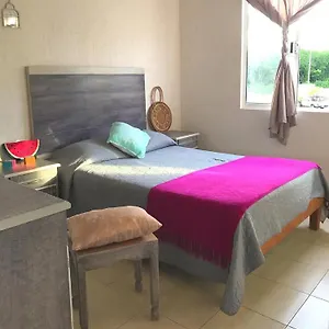 pitaya-playa-vacacional.tulum-hotels.net/