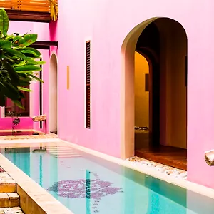5* Hotel Rosas&xocolate Boutique Hotel+spa