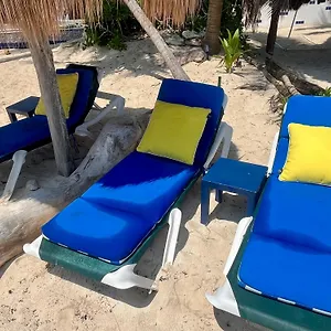 beachfront-hammock-heaven.quintano-roohotels.com/